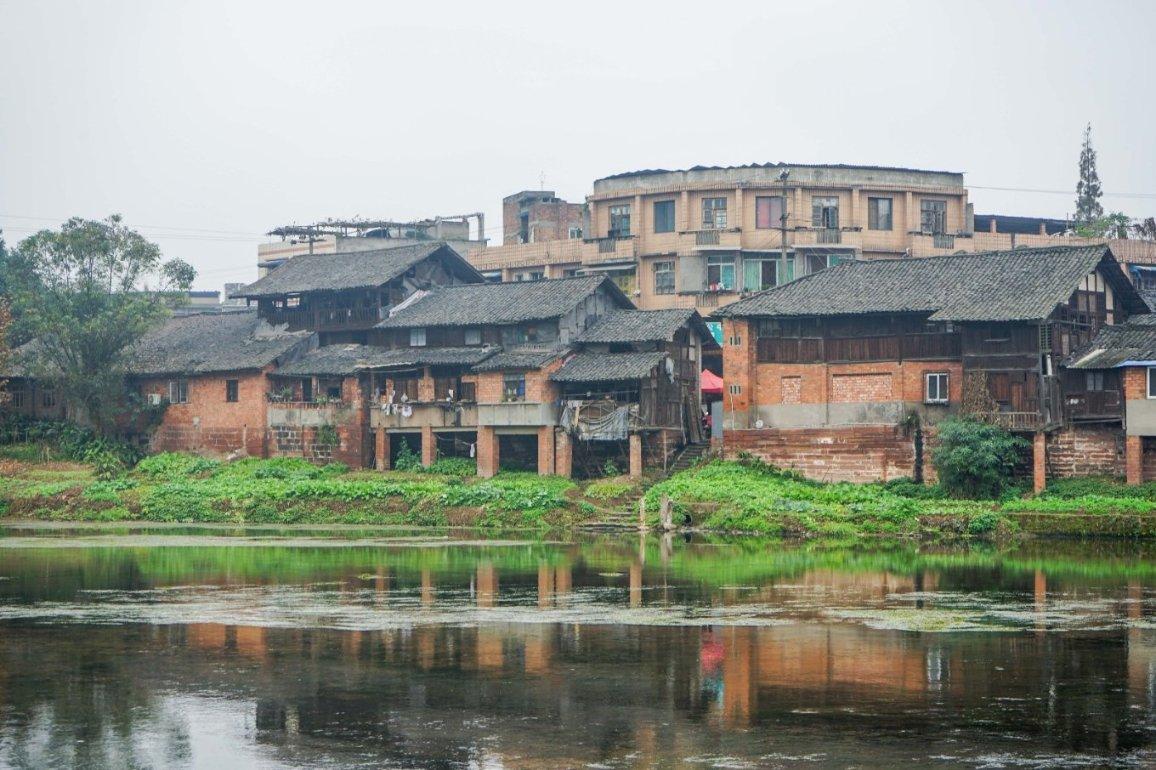 除虫大师