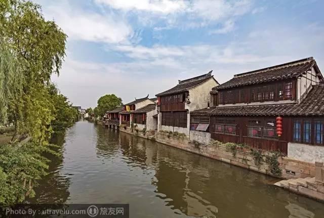 这种是什么虫子游戏画面